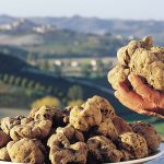 Truffles in Italy – White Alba Truffles & Italian Black Truffles