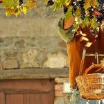 Flavors of Italy: Top 15 Italian Wine’s Blogs