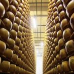 Italian Cheese: Parmesan Cheese vs. Grana Padano