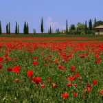 Springtime: Italy’s “Secret Season” in 5 Luxury Villas