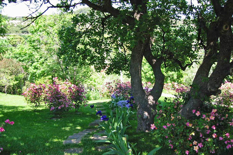 Villa Sibilla