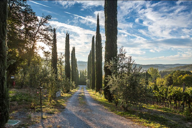 Villa Piera
