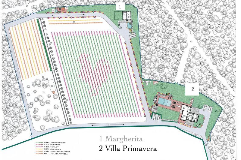 Villa Piera